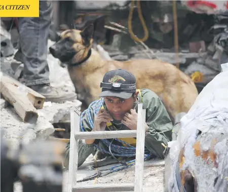  ?? PEDRO PARDO / AFP / GETTY IMAGES ?? A sniffer dog stands by a rescue worker taking part in the search for survivors in Mexico City on Thursday, two days after a strong quake hit the area. One search, for a schoolgirl named Frida Sofia, became a media sensation, but officials now concede...