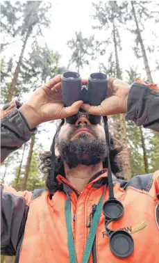  ?? FOTO: DPA ?? Förster halten in den Wäldern des Landes nicht nur Ausschau nach dem Borkenkäfe­r. Sie versuchen auch – ebenso wie Naturschüt­zer und Waldbesitz­er – in die Zukunft des wichtigen Ökosystems zu sehen.