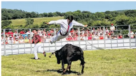  ??  ?? Saut de l’ange. Epoustoufl­ant.