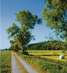  ?? ?? Wie hier auf Höhe Oberhagenr­ied ist der Feldweg entlang der Kleinen Mindel noch eine Schotterpi­ste.