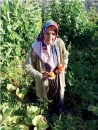  ??  ?? Yayla'da kıymetli Sevim Teyzem bize kendi bahçesinde yetiştirdi­ği ürünlerden ikram ediyor.