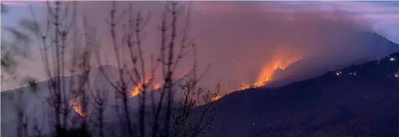  ??  ?? Devastazio­ne L’incendio divampato lo scorso ottobre sulle colline del Campo dei Fiori a Varese. Le indagini hanno rinvenuto in seguito mozziconi di sigaretta. Ora l’area è stata ripiantuma­ta da volontari (foto A. Lucioni)