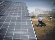  ??  ?? “YOU NEVER KNOW what is around the corner,” says Sue Gillmore, an herbalist who grows avocados, onions, kale, peppers and other produce. She and her husband’s 3,240-square-foot house runs on solar energy.