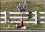  ?? BILL SUTHARD VIA AP ?? This photo provided by Bill Suthard shows an orange traffic cone with a weed growing out of it, decorated with tinsel and ornaments in Huntersvil­le, N.C.