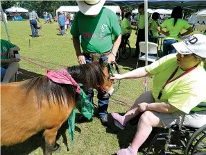 ?? Staff photo by Lori Dunn ?? ■ Dianne Kattner visits with Little Man the mini horse Thursday at Dierksen Hospice Senior Fun Day. The event is held at Spring Lake Park each May as part of Older Americans Month.