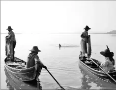  ??  ?? Irrawaddy dolphins in Myanmar’s Ayeyawady River are known to cooperate with fishermen by driving fish into their nets. — WCS photo