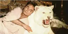  ?? Foto: Magic_Box/epa-Bildfunk ?? Die beiden deutschen Magier Siegfried & Roy (im Bild) wurden mit ihren weißen Tigern weltberühm­t.