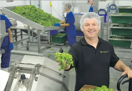  ?? CHRIS OLIVER ?? Adrian Quinn, president of Brandneu Foods Canada Inc., in the kale production area of their plant in Cobourg, Ont.