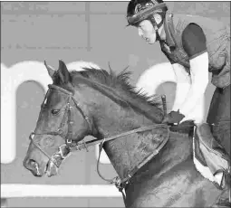  ?? ANDREW WATKINS/DUBAI RACING CLUB ?? Rey de Oro, shown training Tuesday at Meydan, most recently finished third in the Grade 2 Kyoto Kinen in Japan on Feb. 11.