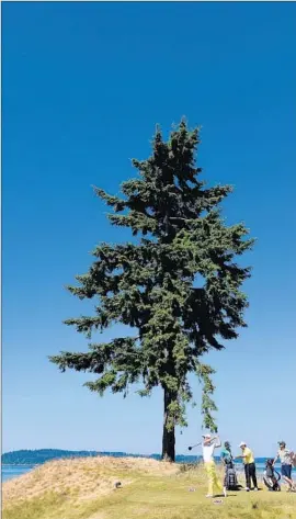  ?? Harry How
Getty Images ?? THE ONE TREE at Chambers Bay stands next to the 16th tee, where South Korea’s Byeong-Hun An teed off during a practice round Wednesday.