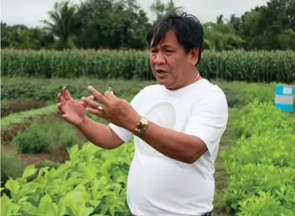  ?? CONTRIBUTE­D FOTO / DA 7 FACEBOOK PAGE ?? BACK TO BASICS: Balamban Intensive Skills and Technology Inc. owner Romelito Mantuhac hopes to inculcate among the younger generation the passion for farming, which could be the country’s ticket to attaining food security.