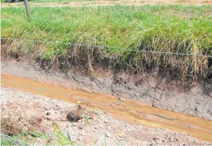  ?? Photo / Supplied ?? Dead eels in the excavated stream after large sediment deposits were found in the water course.