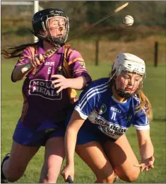  ??  ?? Eleanor Hammel wins the ball from Fianna Byrne of Laois.