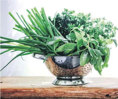  ?? PHOTOS: KAREN BARNABY ?? Not just for garnishing, parsley, mint and green onion are an unbeatable trifecta in many a tasty dish.