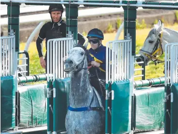  ??  ?? TRIAL TEST: Chautauqua (R) jumps late from the barrier at Rosehill Gardens on August 7.