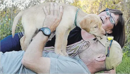  ?? CLIFFORD SKARSTEDT EXAMINER ?? Owners Paul Brown and Tracey Morrison play with their eight-week-old female adopted puppy at the Peterborou­gh Humane Society on Thursday.