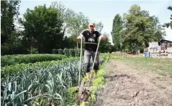  ?? Fotos: dpa/Bodo Schackow ?? Jens Huschenbet­t pflügt ein Beet.