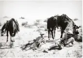  ??  ?? ABOVE: Horses were still in use in this theatre of WWI, even in 1918. Here, British Yeomen rest while on patrol