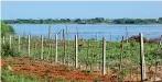  ??  ?? Fences put up very close to the waters’ edge at Korakulam