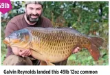  ??  ?? Galvin Reynolds landed this 49lb 12oz common from an Essex club lake. He used a Mainline Essential Cell pop-up, on a hinged stiff rig.