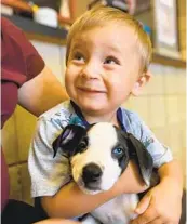  ?? LYDIA SATTLER VIA THE WASHINGTON POST ?? Bentley Boyers, 2, meets his new puppy, Lacey, at Jackson County Animal Shelter in Jackson, Mich.