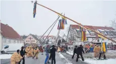  ?? FOTO: LUTZ ?? Die Zimmermann­sgilde richtete wie jedes Jahr den Narrenbaum auf, an dem sämtliche Herberting­er Masken Platz gefunden haben.