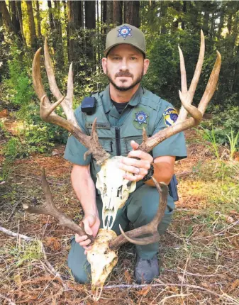  ?? California Department of Fish and Wildlife ?? State Wildlife Officer Pat Freeling shows the antlers of trophy blacktail deer shot illegally. Under a new law, poachers could face up to a $40,000 penalty per animal.