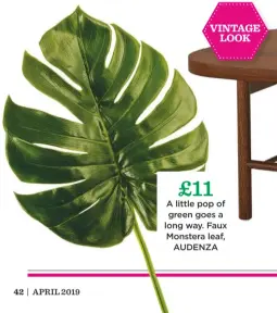  ??  ?? £11 a little pop of green goes a long way. Faux Monstera leaf, audenza vintage look