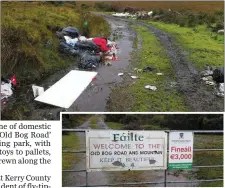  ?? The shocking pictures of illegal dumping on the Old Bog Road, now under investigat­ion by Kerry County Council. ??