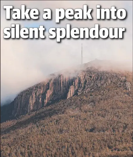  ?? Picture: MATHEW FARRELL ?? NATURAL BEAUTY: Cloud envelops kunanyi/Mt Wellington. INSET: A man-fern bursts into life.