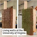 ?? ?? Living walls at the University of Virginia