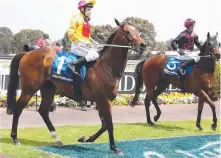  ?? Picture: MARK DADSWELL ?? Jockey Craig Newitt riding Lankan Rupee.