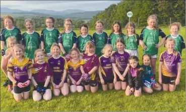  ?? ?? Shamrocks’ and St Catherine’s U10s who played in Knockanore last Monday.