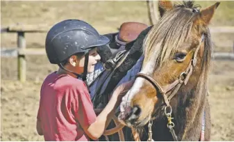  ?? PHOTOS BY HOLLY JENKINS ?? Kai excitedly congratula­tes his equine partner, Bullseye, after they successful­ly maneuver the obstacle course.