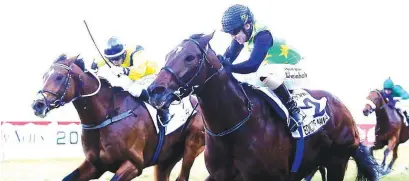  ??  ?? GRADE 1 DOUBLE. Trainer Brett Crawford scores a feature double at Greyville on Saturday by winning the Daily News 2000, with Edict Of Nantes, and Anton Marcus up.
