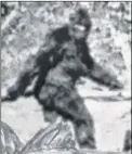  ??  ?? Is it a beast? Is it a hoax? Bigfoot snapped in 1967