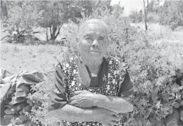  ?? PEDROZA ?? La mujer indígena de 94 años de edad recordó las recomendac­iones de sus ancestros ante los eventos astronómic­os/ARMANDO