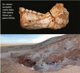  ??  ?? Jebel Irhoud, Marocko är en välkänd fyndplats sedan 1960-talet. De nya dateringar­na är gjorda på nyare fynd av åtminstone fem individer.