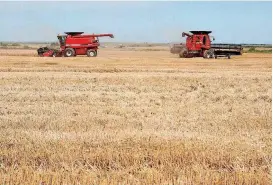  ?? [PHOTO PROVIDED BY OKLAHOMA WHEAT COMMISSION/OKLAHOMAN ARCHIVES] ?? The efficiency of modern farmers, whether it is your local growers at the farmers market or several thousand-acre wheat or corn farmers, frees you from the daily pressure of producing food each and every day to ensure the survival of your family.