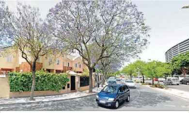  ?? ?? Vecinos de la urbanizaci­ón Recreo de Luzelma se quejan de la suciedad de las jacarandas.