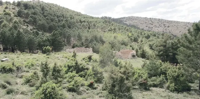  ?? Fotos: Ingrid Lechner ?? Der Schneebrun­nen „Cartagena“: Wenn man Glück hat begegnet dem Wanderer hier oben in der Sierra Espuña ein Rudel iberischer Steinböcke.