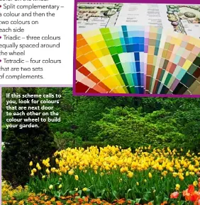  ??  ?? If this scheme calls to you, look for colours that are next door to each other on the colour wheel to build your garden.
The colour wheel will tell you what you need to know about which colour goes with which.