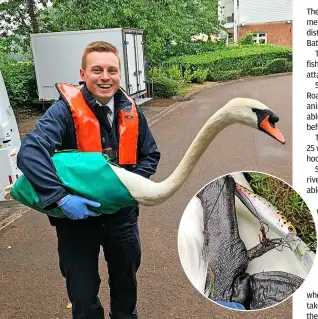  ?? Pictures: RSPCA ?? RSPCA animal rescue officer Dean Wilkins with the swan rescued from the River Avon; the hook, inset