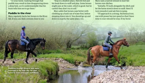  ??  ?? Paddling through streams and water crossings is the best way for your horse to learn and build confidence