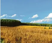  ??  ?? Die Aussicht vom autofreien Engelshof lässt den Blick über schier endlose Felder, gesäumt von dichtem Wald, schweifen.