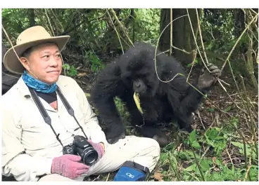  ??  ?? It is possible to get very close to the primates in uganda, but only when your ranger gives the all clear. Photo: FLOREnCE tEH