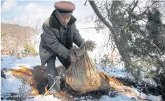  ??  ?? GRUESOME EVIDENCE: Village elder Kim Ri-jun digs up a sack which he claims contains the remains of a soldier who fought in the Korean War from a burial site in Kujang County.