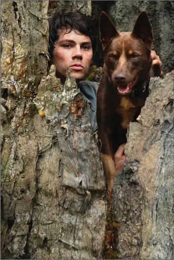  ??  ?? Apocalypse survivor Joel (Dylan O’Brien) leaves the safety of his undergroun­d colony and sets off with his new friend Boy (Hero, an Australian Kelpie) to find his old high school girlfriend in “Love and Monsters.”