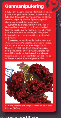  ??  ?? CRISPR-komplekset fungerer som en saks som klipper DNA-et.