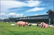  ?? PROVIDED TO CHINA DAILY ?? Plastic pig figures adorn the front yard of Dexing’s Nordic Farm in Guangdong province.